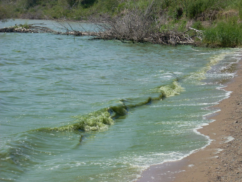 Baignade et eaux récréatives en milieux naturels 